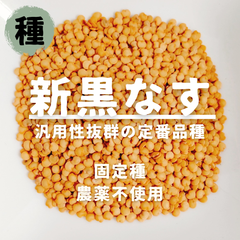 【種】ナス　真黒なす　農薬不使用　30粒