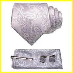 ギフトボックス付き プレゼント 父の日 パーティー 冠婚葬祭 二次会 卒業式 入学式 結婚式 就活 ビジネス チーフ ボタン カフス ピン ペイズリー柄 ネクタイ メンズ [JEMYGINS]