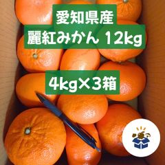 【愛知県産】 麗紅みかん 4kg×3箱