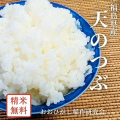 米 【おおひがし稲作研究会】 天のつぶ 玄米 30kg 白米精米可能 福島県須賀川市 令和6年産
