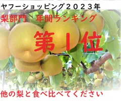 最終値引き　セール　残り約９箱　川添農園　kawazoe farm　唐津　農家直送　 特栽　今が食べごろ!旬の梨　5kg　高級　大玉　完熟　愛宕梨