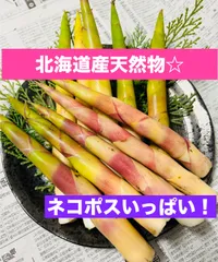 北海道産根曲り竹&amp;大瓶3本 楽天市場】根曲がり竹（食品）の通販