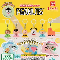 2024年最新】めじるしアクセサリーSNOOPYの人気アイテム - メルカリ