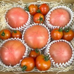 海の近くで育った朝採れトマト【13時までのご注文で当日発送】