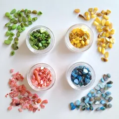 【 ケース付きシェル4色セット 】 シェル チップ 封入 貝殻ネイル レジン 貝 染めシェル ネイルアート さざれ スタッズ 小さい シェル セルフネイル クラフト 高品質 ネイルスタッズ レジン封入