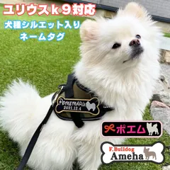 シルエットワッペン　愛犬 ユリウス 刺繍ワッペン ネームワッペン 刺繍 julius-k9 ユリウスk9 対応 ネームタグ　ネームラベル　マジックテープ　ハーネス nanairo なないろ オリジナル うちのこ 可愛い おしゃれ