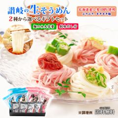 生そうめん 2種から選べる ギフトセット【麺のみ・創味つゆ付き】プレーン 南高梅 梅そうめん 梅素麺 生そうめん そうめん 素麺 夏季 生麺 時短 食品 大容量 プレゼント 贈り物 お中元 中元 お中元ギフト ポイント消化 送料無