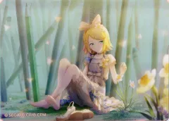 2025年最新】プロジェクトセカイ カラフルステージ! feat. 初音