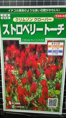 ストロベリー トーチ クリムソン クローバー 種 ３袋セット