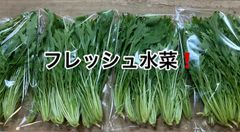 栽培中農薬、化学肥料無使用　サラダ水菜🥬　クール便