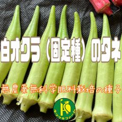 白オクラ（固定種）のタネ　30粒　無農薬無化学肥料栽培の種子