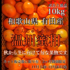 〝甘い家庭用〟温州みかん 10kg 和歌山県 訳あり優品