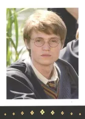 【中古】コレクションカード(男性) ロビー・ジャーヴィス(ジェームズ・ポッター)/「ハリー・ポッター」ぱしゃこれ 実写