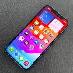 SIMロック解除済 iPhone 12 256GB ブルー MGJ33J/A