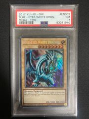 ARS9 BPT 青眼の白龍 2003 TIN ブルーアイズ シークレット - メルカリ