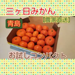 ★失敗したくない方必見‼️ 【お試し品】青島みかん三ヶ日