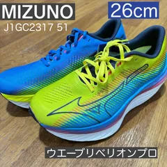 ミズノアップシューズ  新品未使用 ２８cm オーダー品 ミズノアップシューズ 新品未使用 28cm オーダー品 2025年最新