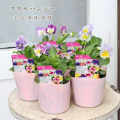 フェントン ピーチクレスト メロンシェイプ フラワーベース ピンク12cm ③