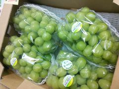 安心の冷蔵便】岡山産 ぶどう食べ比べ（3～4種類） ご家庭用 約