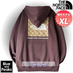 THE NORTH FACE パーカー BOX NSE Hoodie, カラー；CoalBrown, サイズ；XL