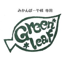 ユーフォルビア☆ホワイトゴースト①