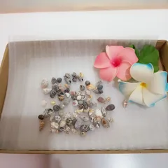 貝殻 巻き貝 巻貝 アソート ミックス 詰め合わせ 小サイズ