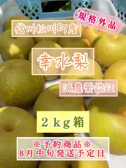 信州松川町産　幸水梨　規格外品　約2キロ　減農薬認証付のサムネイル