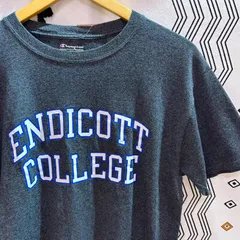 古着　Tシャツ　半袖　champion グレー　スポーツ