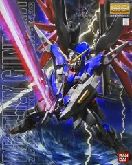 2025年最新】1/100 デスティニーガンダム (機動戦士ガンダムSEED