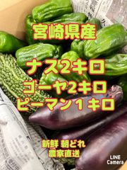 野菜 ナス 10キロ 宮崎県産 - メルカリ