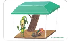 2025年最新】こびとづかんカードの人気アイテム - メルカリ