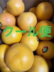 グレープフルーツ（ルビー）箱込6.5キロ程度 イスラエル産