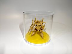 アクリル小型ケース100φサイズ（台座白マット）色板（黄）付き