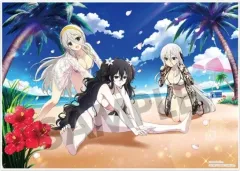 【中古】アクリルスタンド・アクリルパネル 雪不帰(81の日水着) ビジュアルアクリルプレート 「シノビマスター 閃乱カグラ NEW LINK」
