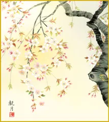 色紙  色紙掛けなし 色紙絵  和風 桜花爛漫  モダン 掛軸 床の間 和室 おしゃれ 壁掛け 絵