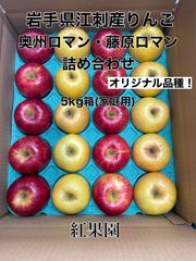 江刺産りんご「奥州ロマン・藤原ロマン」詰め合わせ5kg箱(家庭用)