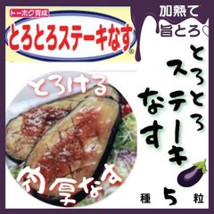 【野菜の種】美味しい！大きい！「とろとろステーキなす」の種５粒
