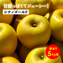 「シナノゴールド5キロ箱訳あり品」農林水産大臣賞 りんご 長野県産 安曇野 信州産 産地直送
