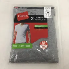 HANES ヘインズ Tシャツ 半袖 v neck t shirt hanes HM1EG754 2枚組
