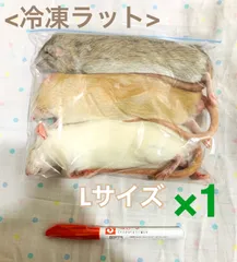 冷凍ラット　100匹セット　60〜80g 楽天市場】冷凍 ラットの通販