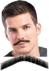 Item thumbnail for item 6c2508df-e004-437c-9984-f141d2df2b5c