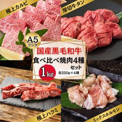 【A5】 国産黒毛和牛 食べ比べ 焼肉 4種セット 1kg (カルビ・ハラミ・タン・ホルモン 各部位250g) A5 焼肉 BBQ バーベキュー 国産 黒毛和牛 牛肉 宴会のサムネイル
