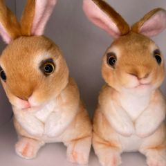 【アウトレット 立つうさぎのぬいぐるみ ６個セット】 うさぎ ウサギ ラビット ピーター 兎 ぬいぐるみ 縫いぐるみ リアル 本物 そっくり ペット 動物 かわいい プレゼント ギフト 大きい おしゃれ SH1
