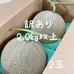 よさんさま専用 訳あり富良野メロン 大箱2ケース - メルカリ よさんさま専用 訳あり富良野メロン 大箱2ケース - メルカリ