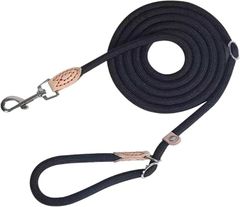 Item thumbnail for item 458d626d-13bc-433a-84e5-4011951f3c8d