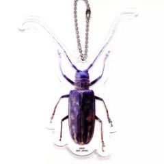 [중고] 잡화 딱정벌레 아크릴 열쇠 고리 [이치 반 복권 곤충 LIFE with INSECT] G상