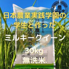 農業学校のミルキークイーン30kg　無洗米　【令和5年産新米】30キロ