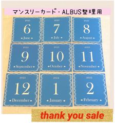 2501【即日発送】★大人気★マンスリーカード　月齢カード　アルバス整理用