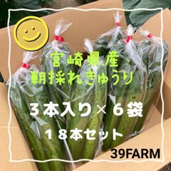 《農家直送》宮崎県産朝採れきゅうり　小袋