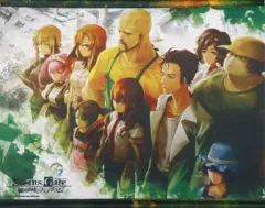 【中古】タペストリー 集合(パッケージイラスト) A2タペストリー 「PS3/Xbox 360ソフト STEINS;GATE 線形拘束のフェノグラム 数量限定版」 エビテン限定特典